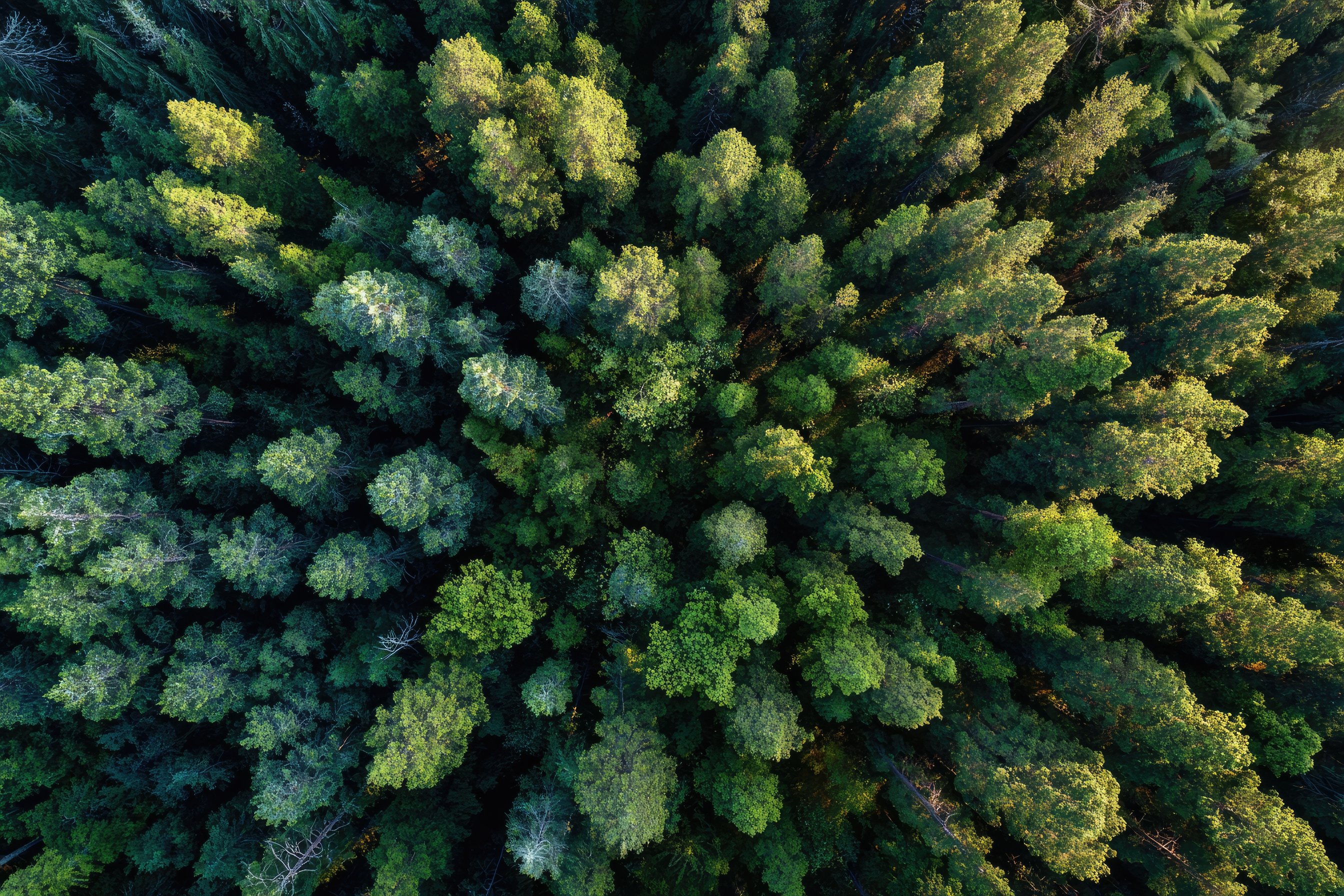 AdobeStock_1671472921